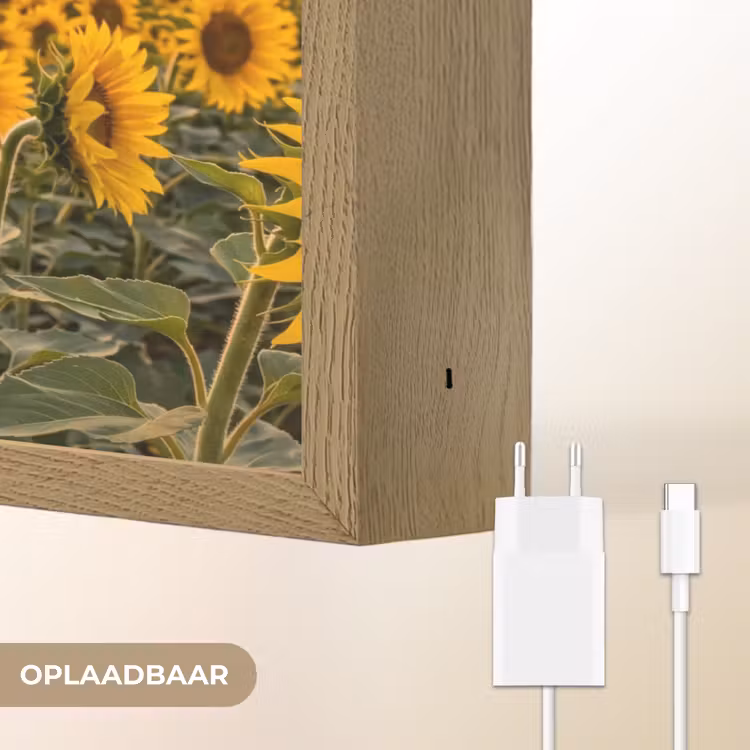 Zonnebloemen - Heuvellandschap - Geel Light Box met batterij (Wandlamp) middel -USP_websiteoplaadbaarNL