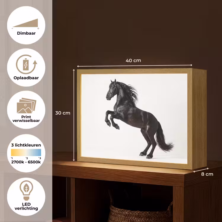 Zwart - Paard - Portret Light Box met batterij (Wandlamp) middel -USP_websiteoverzichtNL