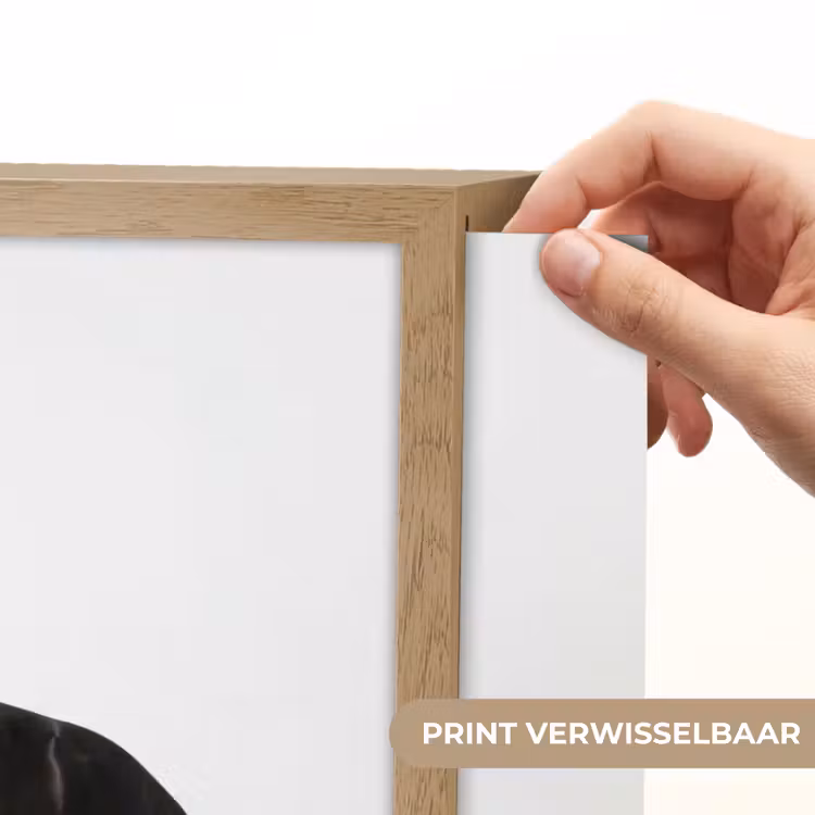 Zwart - Paard - Portret Light Box met batterij (Wandlamp) middel -USP_websiteprintNL