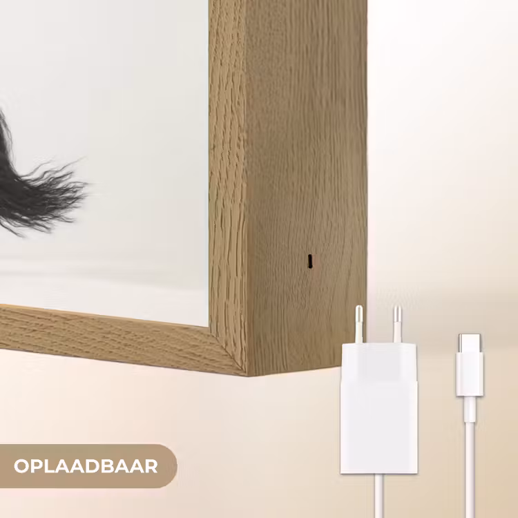 Zwart - Paard - Portret Light Box met batterij (Wandlamp) middel -USP_websiteoplaadbaarNL
