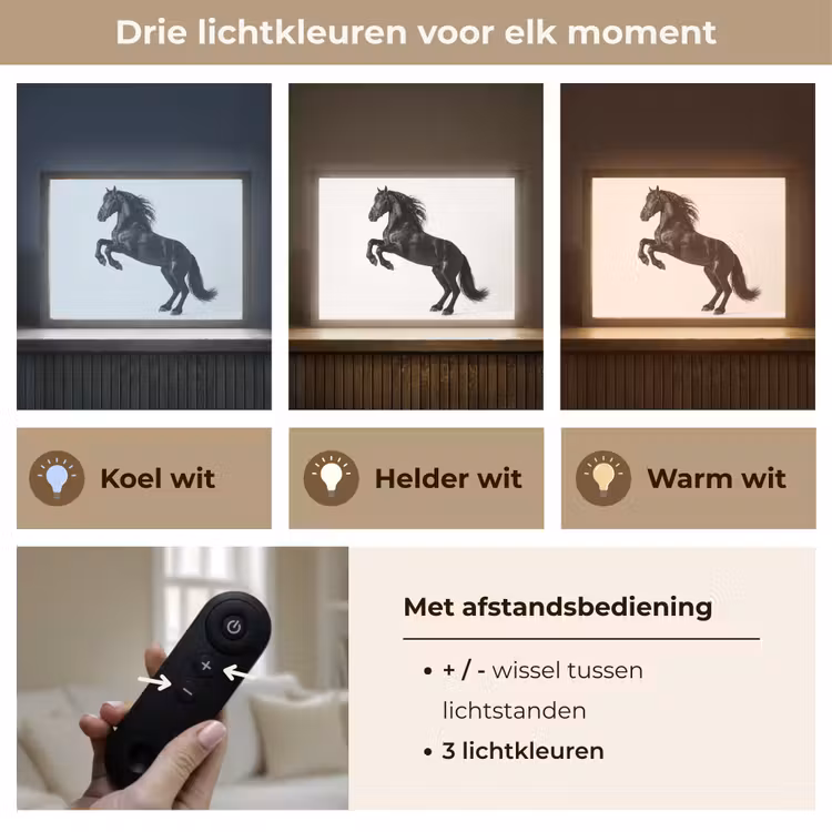 Zwart - Paard - Portret Light Box met batterij (Wandlamp) middel -USP_lichtkleurNL