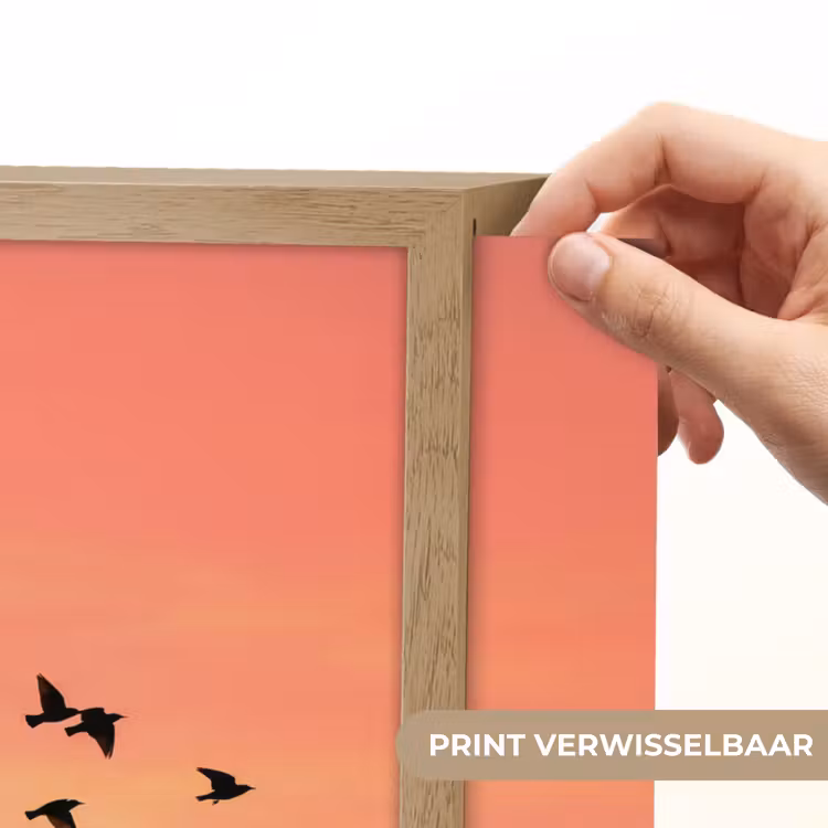 Zwerm - Vogels - Oranje Light Box met batterij (Wandlamp) middel -USP_websiteprintNL