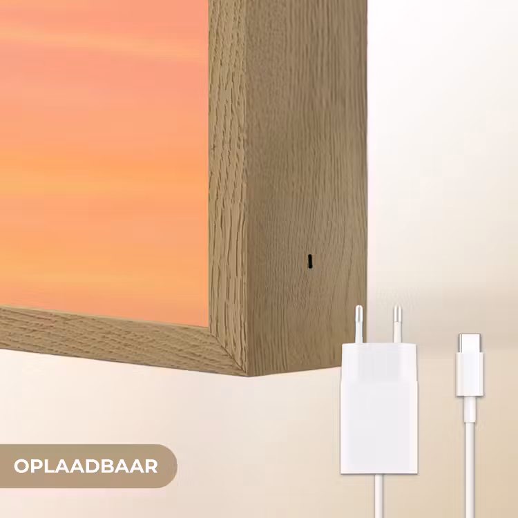 Zwerm - Vogels - Oranje Light Box met batterij (Wandlamp) middel -USP_websiteoplaadbaarNL