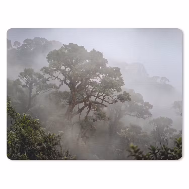 Boom - Mistig - Bos - Groen - Natuur muismat rubber klein -3d