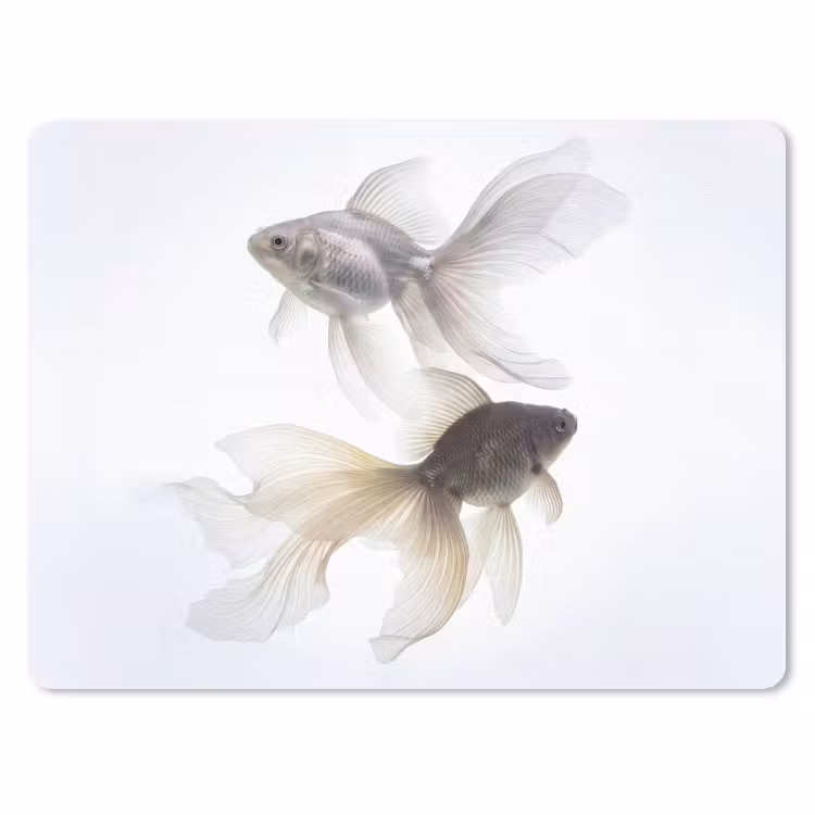 Goudvissen - Modern - Wit muismat rubber klein -3d