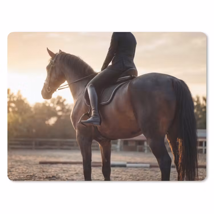 Harmonie - Ruiter - Zon muismat rubber klein -3d
