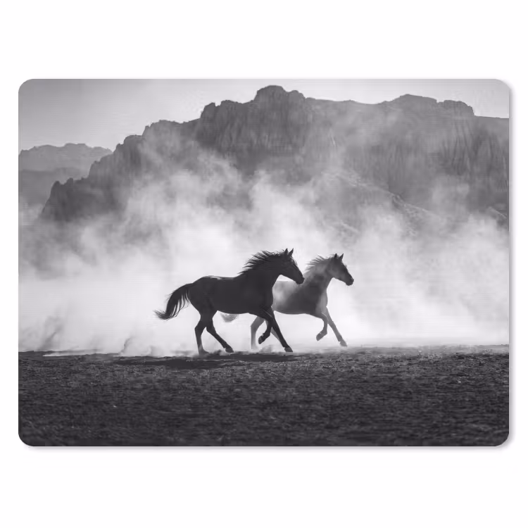 Paard - Ren - Stof - Zwart-wit - Dieren muismat rubber klein -3d