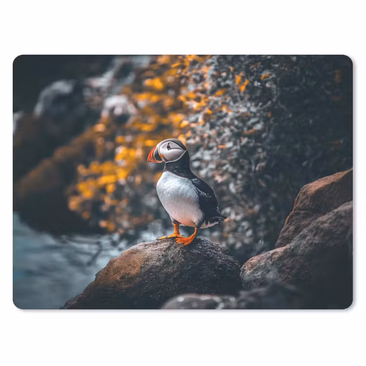 Papegaai - Vogel - Rots - Wit muismat rubber klein -3d
