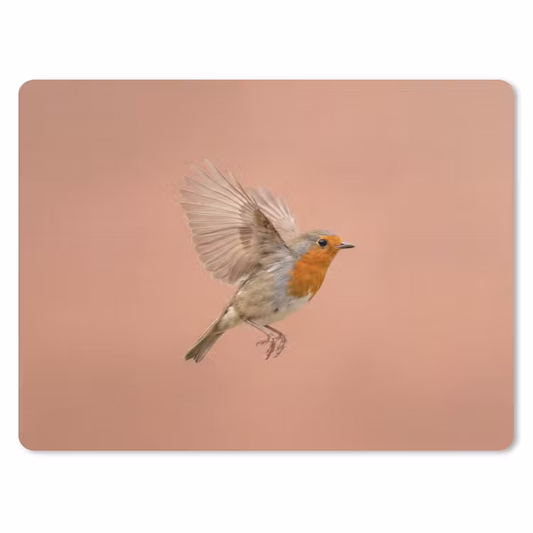 Roodborst - Natuur - Roze muismat rubber klein -3d