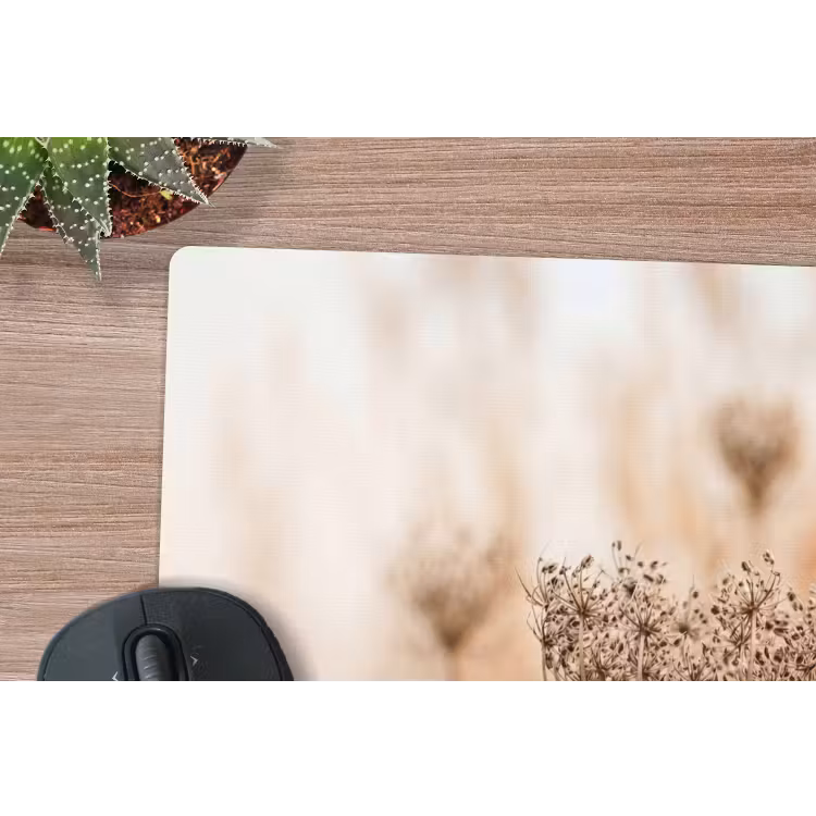 Schermbloem - Droogbloem - Winter - Beige - Minimalistisch muismat rubber klein -closeup