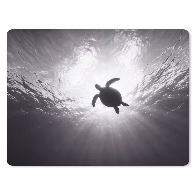 Schildpad - Onderwater - Lichtstralen - Oceaan - Zwart-wit muismat rubber klein -3d