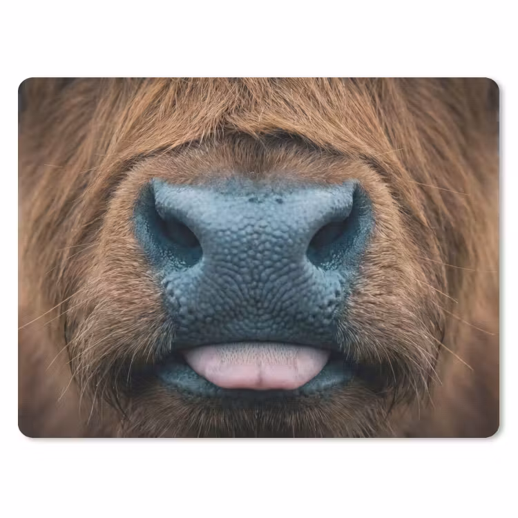 Schotse hooglander - Neus - Bruin muismat rubber klein -3d