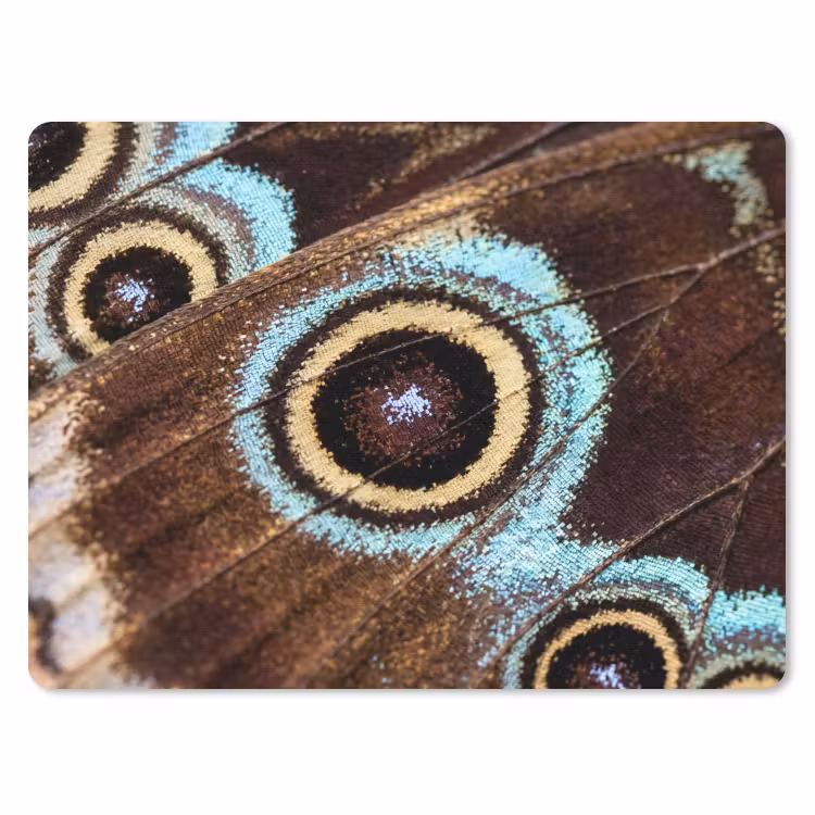 Vleugels - Vlinder - Blauw muismat rubber klein -3d