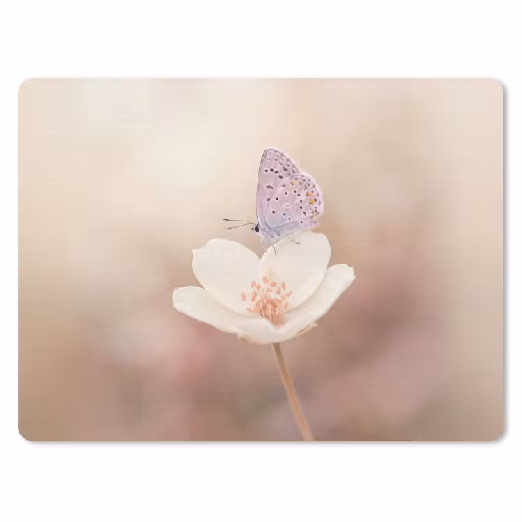 Vlinder - Bloem - Blauw muismat rubber klein -3d
