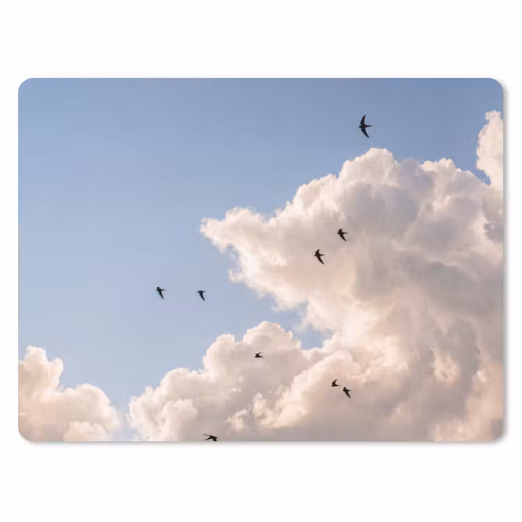 Vogel - Vlucht - Wolken - Natuur - Blauw muismat rubber klein -3d