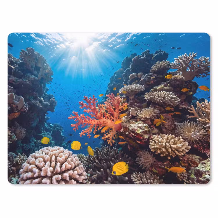 Zee - Koraalrif - Natuur - Levendig - Blauw muismat rubber klein -3d