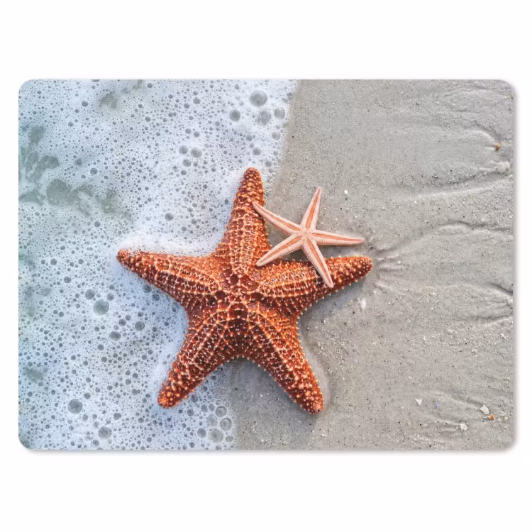 Zeester - Strand - Zee muismat rubber klein -3d