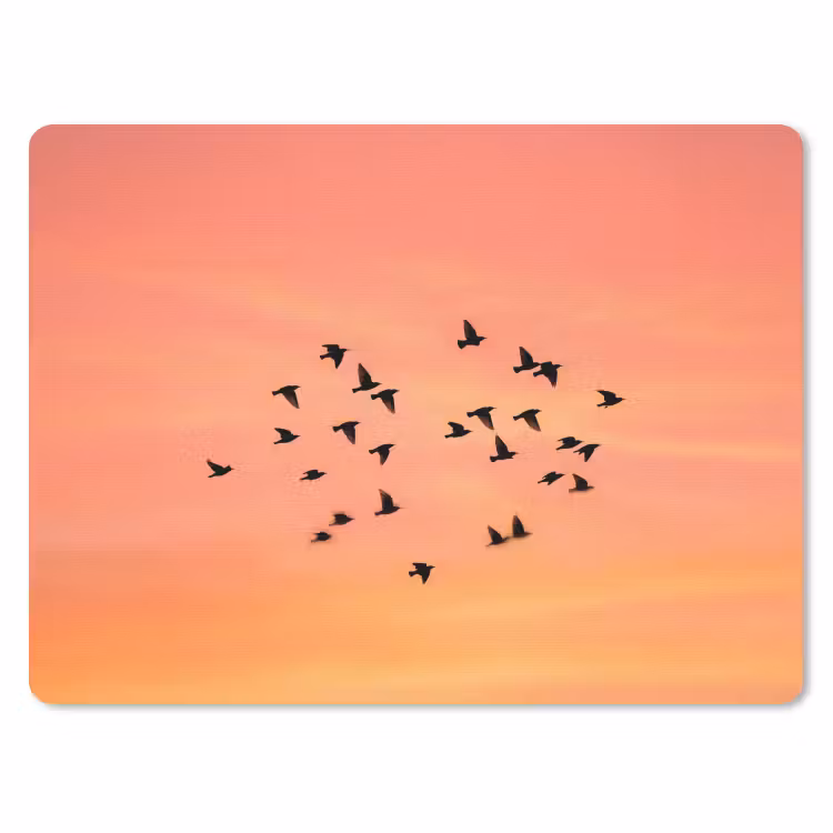 Zwerm - Vogels - Oranje muismat rubber klein -3d