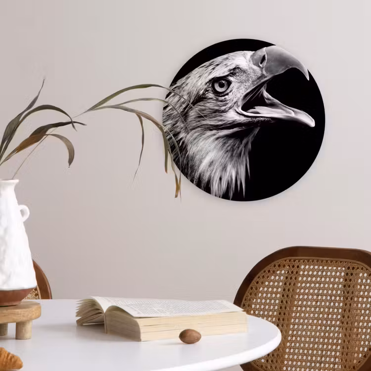 Adelaar - Portret - Roofvogels - Zwart - Wit - Vogel Wandcirkel kunststof plaat 5mm dik klein -sfeer4
