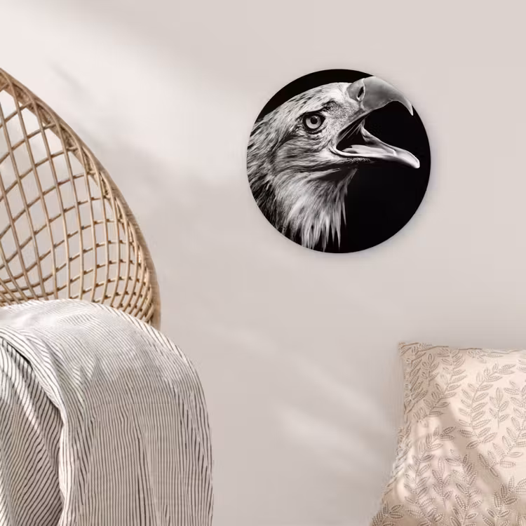 Adelaar - Portret - Roofvogels - Zwart - Wit - Vogel Wandcirkel kunststof plaat 5mm dik klein -sfeer5