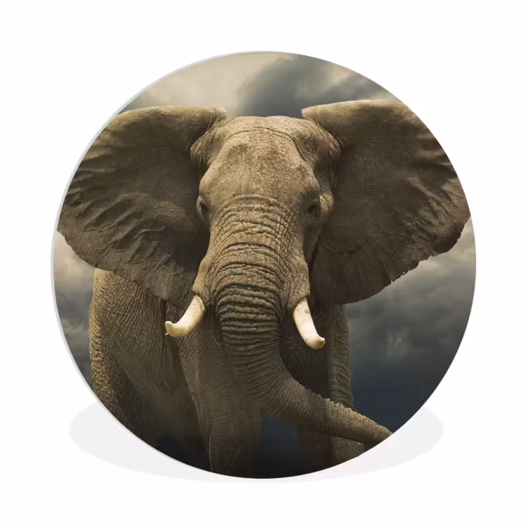Afrikaanse olifant tegen de donkere wolken Wandcirkel kunststof plaat 5mm dik groot -3d