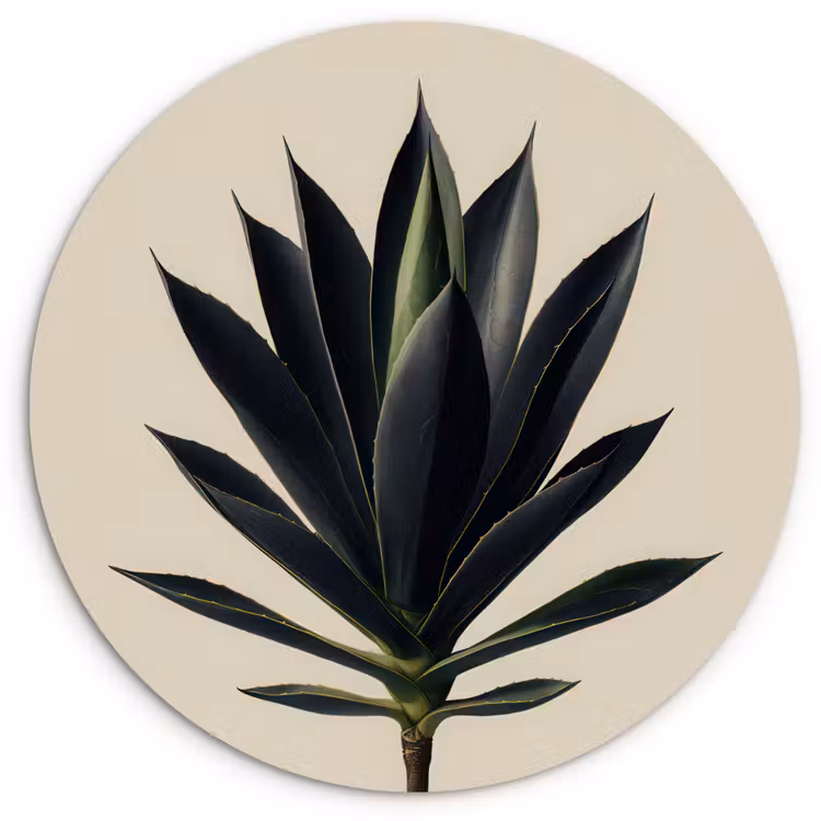 Agaveplant - Symmetrisch - Groen Wandcirkel kunststof plaat 5mm dik klein -3d