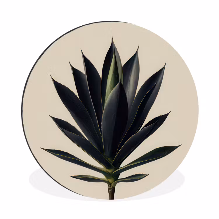 Agaveplant - Symmetrisch - Groen Wandcirkel aluminium klein -3d