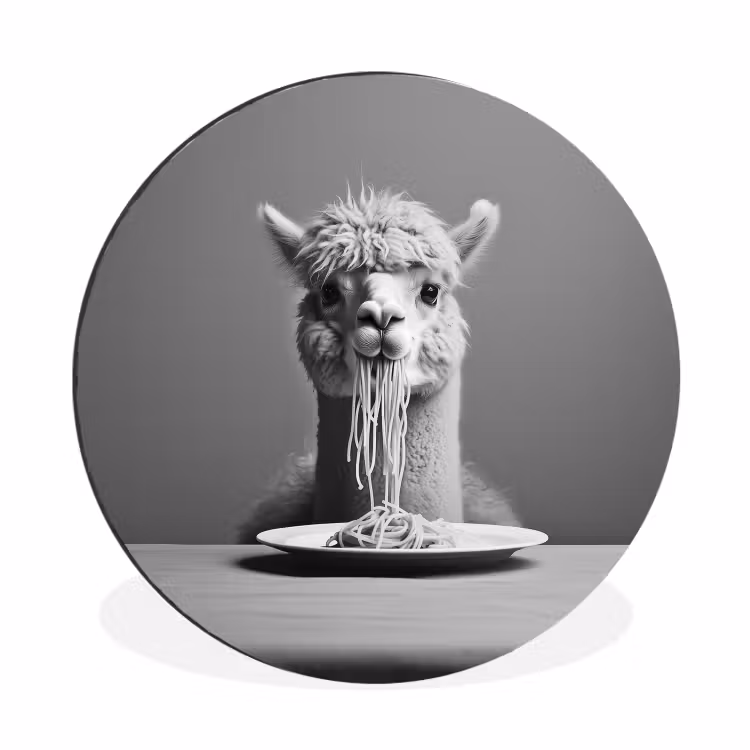 Alpaca - Pasta - Zwart - Wit - Grappig - Dieren Wandcirkel aluminium klein -3d