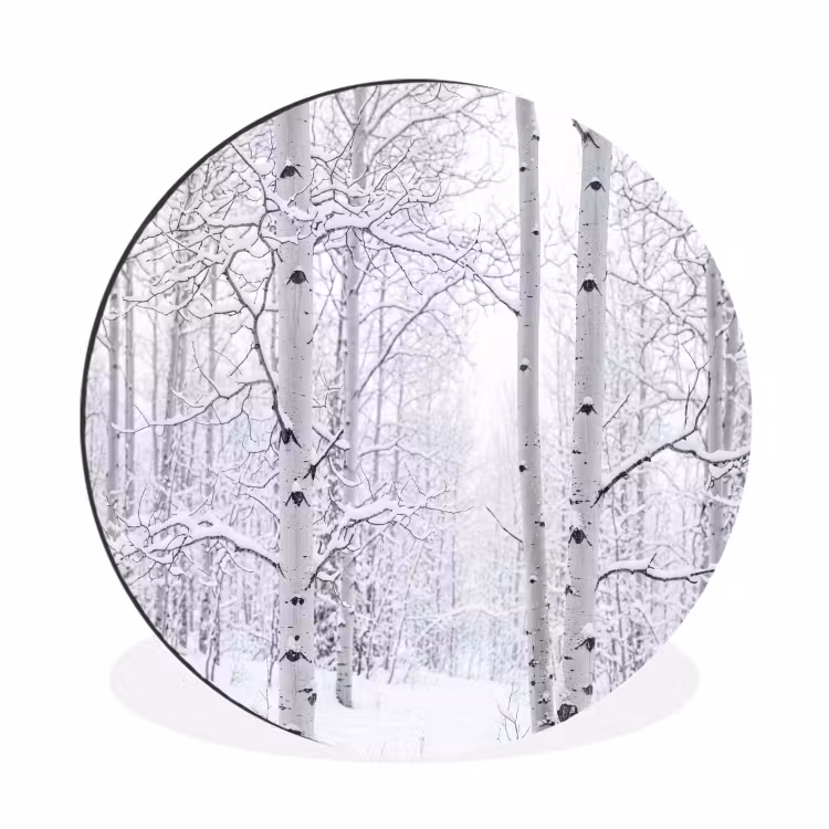 Berkenbomen - Sneeuw - Winter - Bos - Wit Wandcirkel aluminium klein -3d