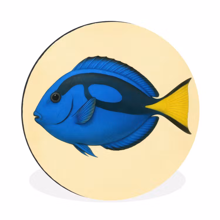 Blauw - Dory - Vis - Staartvin Wandcirkel aluminium klein -3d