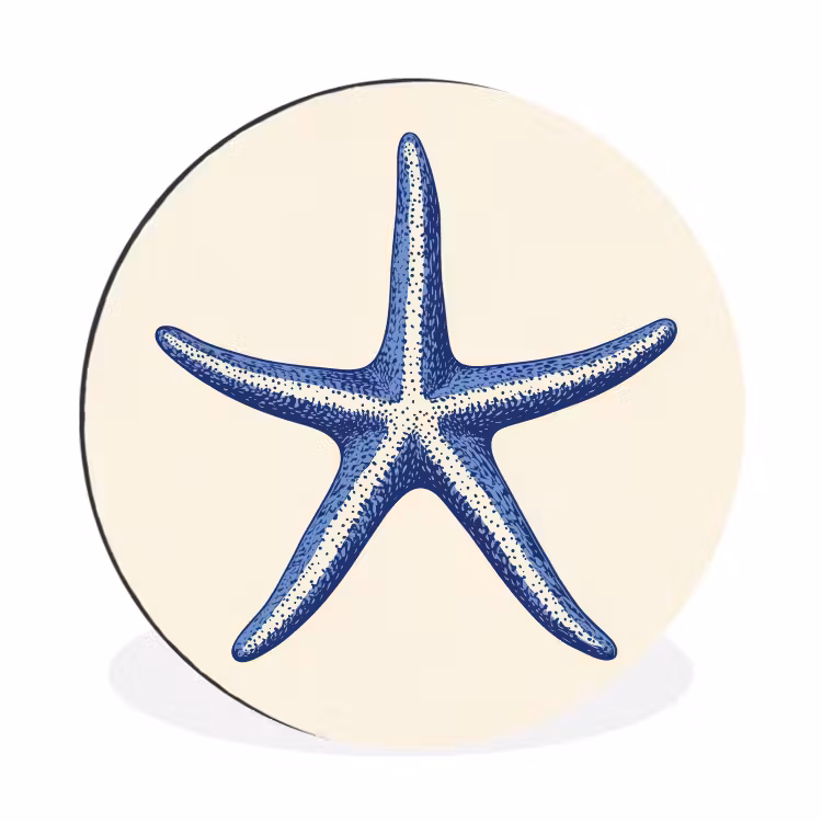 Blauwe zeester - Minimalistisch - Beige Wandcirkel aluminium klein -3d