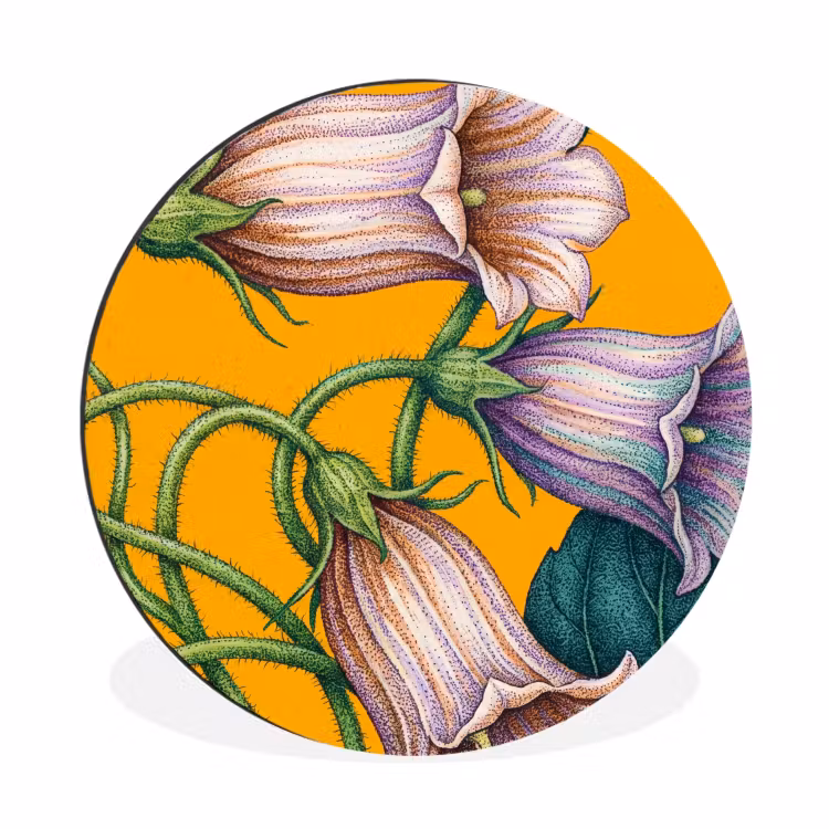 Muurcirkel aluminium - Bloemen - Botanisch - Geel - Bloemen - Botanisch - Geel Wandcirkel aluminium klein