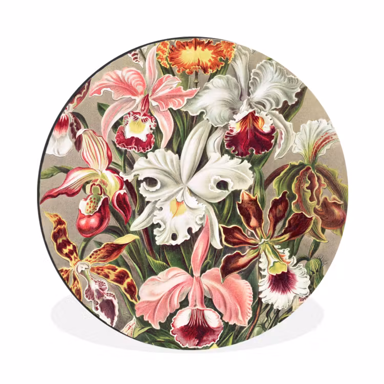 Bloemen - Ernst haeckel - Tuinposter - Vintage - Schuttingposter Wandcirkel aluminium klein -3d
