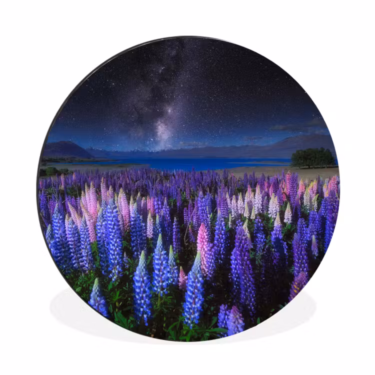 Bloemen - Nacht - Nieuw-Zeeland - Sterrenhemel - Paars Wandcirkel aluminium klein -3d