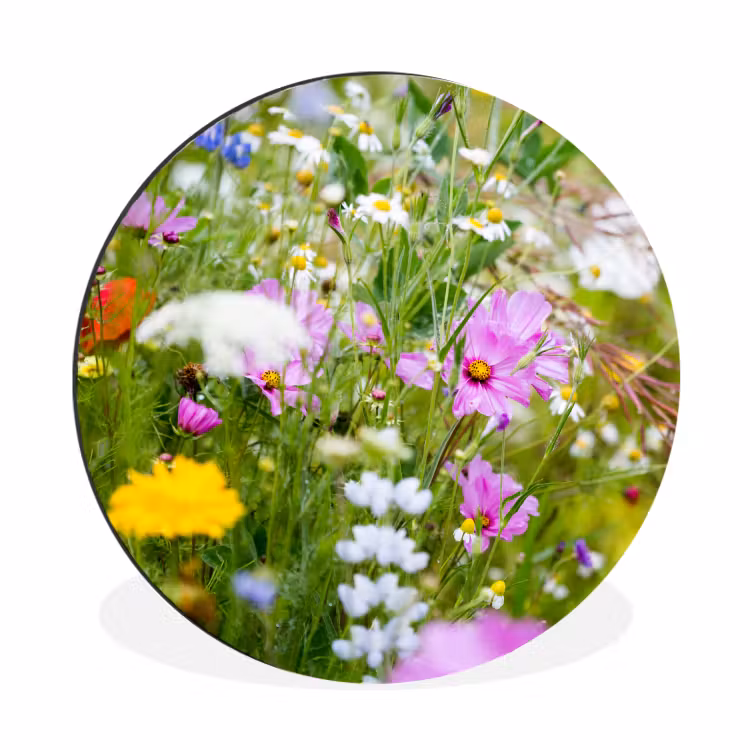 Bloemen - Natuur - Groen - Gras - Paars - Wit Wandcirkel aluminium klein -3d