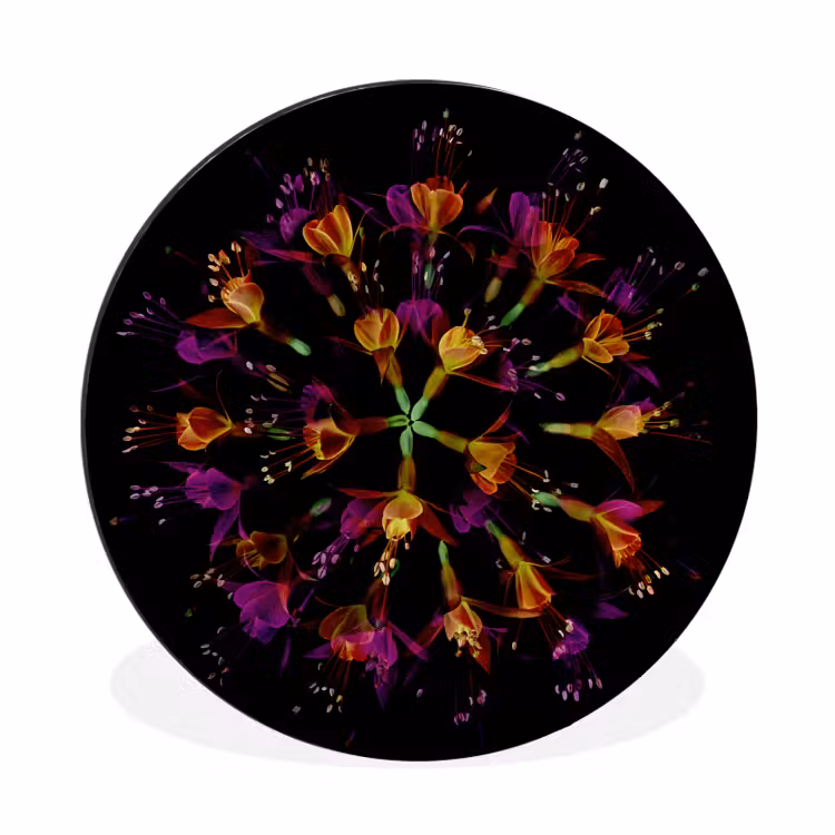 Bloemen - Oranje - Roze - Zwart Wandcirkel aluminium klein -3d