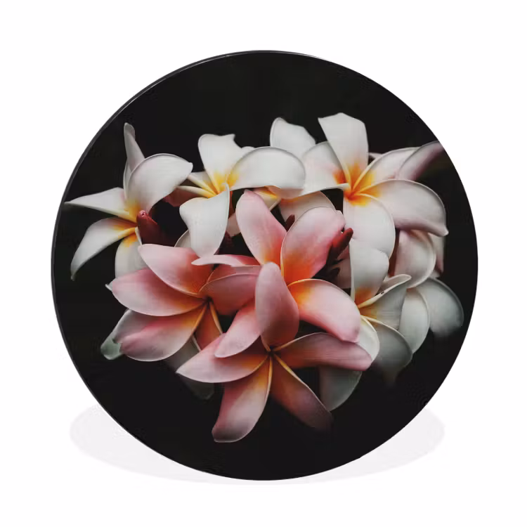 Bloemen - Roze - Zwart - Flora - Botanisch Wandcirkel aluminium klein -3d