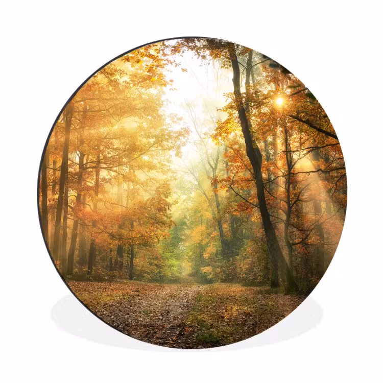 Bos - Herfst - Zon - Landschap - Natuur Wandcirkel aluminium klein -3d