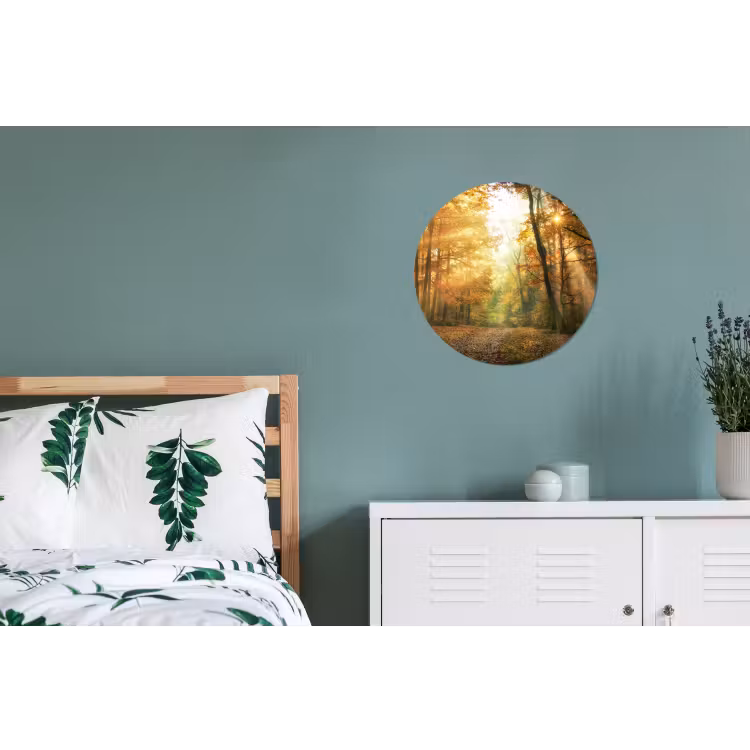 Bos - Herfst - Zon - Landschap - Natuur Wandcirkel aluminium klein -slaapkamer