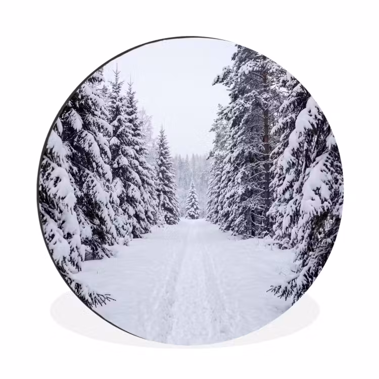 Bos - Winter - Sneeuw - Pad - Natuur Wandcirkel aluminium klein -3d