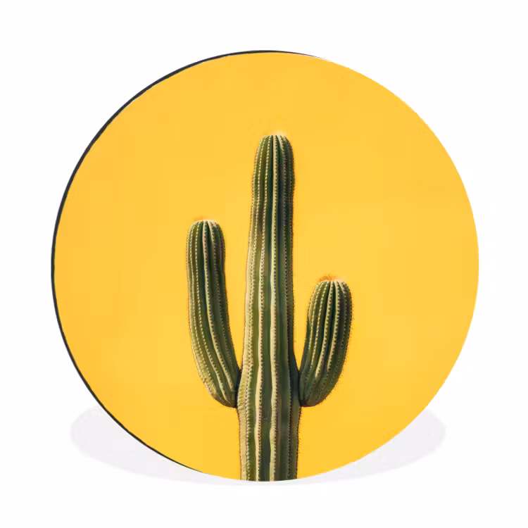 Cactus - Groen - Minimalistisch Wandcirkel aluminium klein -3d
