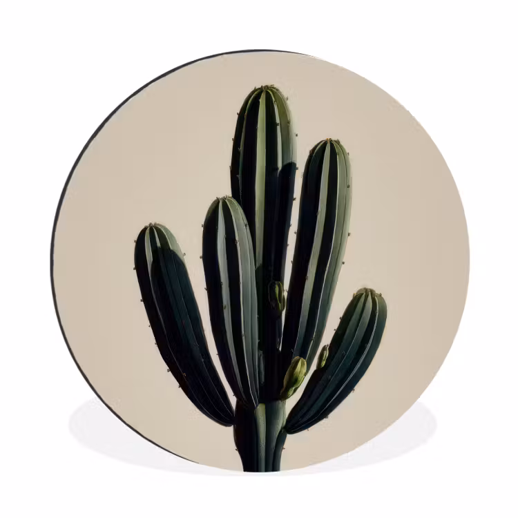 Cactus - Subtiel - Groen Wandcirkel aluminium klein -3d