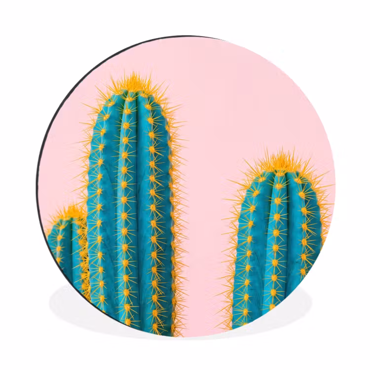 Cactussen - Modern - Pastel Wandcirkel aluminium klein -3d