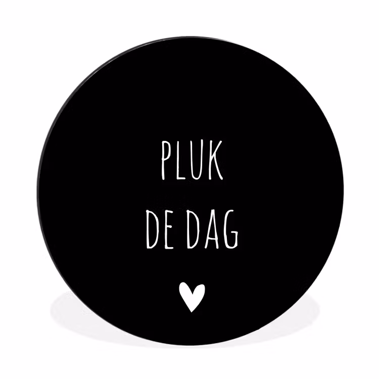 Carpe diem - Spreuken - Pluk de dag - Quotes Wandcirkel aluminium klein -3d