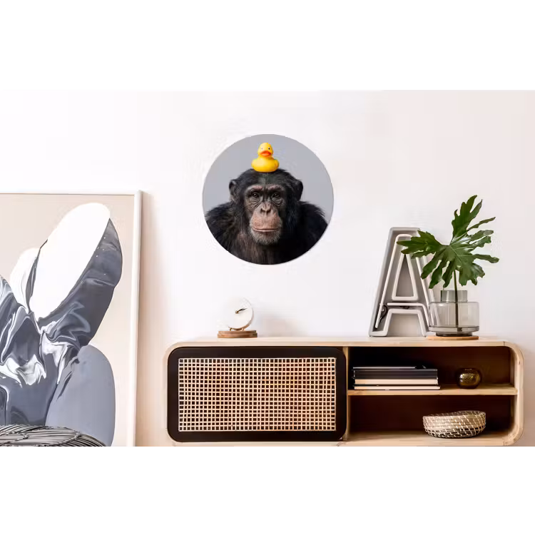 Chimpansee - Badeend - Grijs Wandcirkel aluminium klein -kantoor