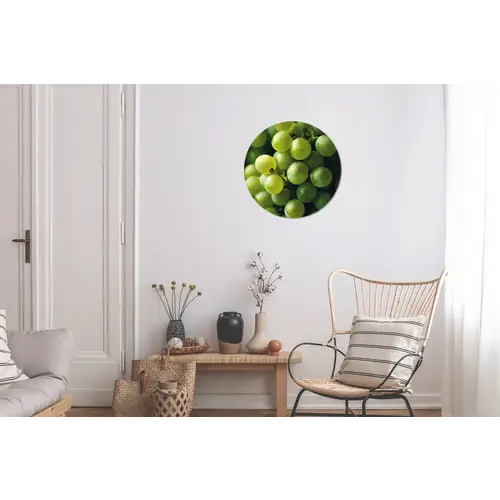 Druiven - Tros - Groen Wandcirkel aluminium klein -woonkamer
