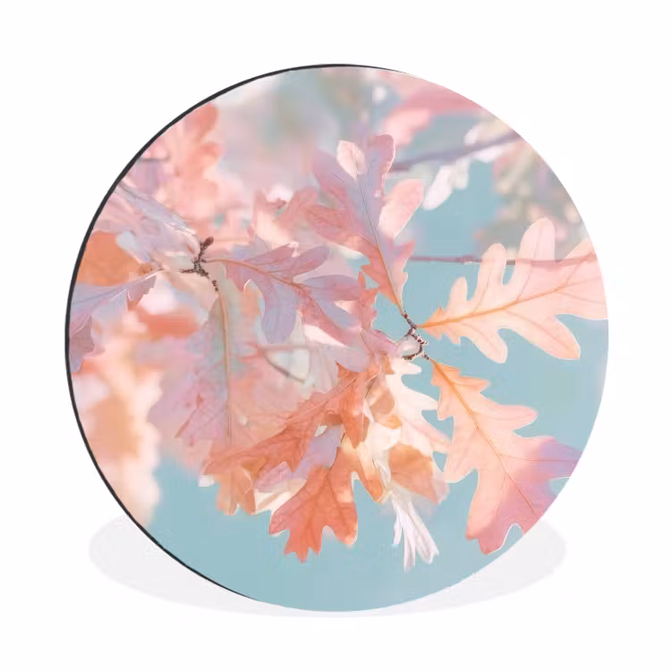 Eikenbladeren - Takken - Roze Wandcirkel aluminium klein -3d