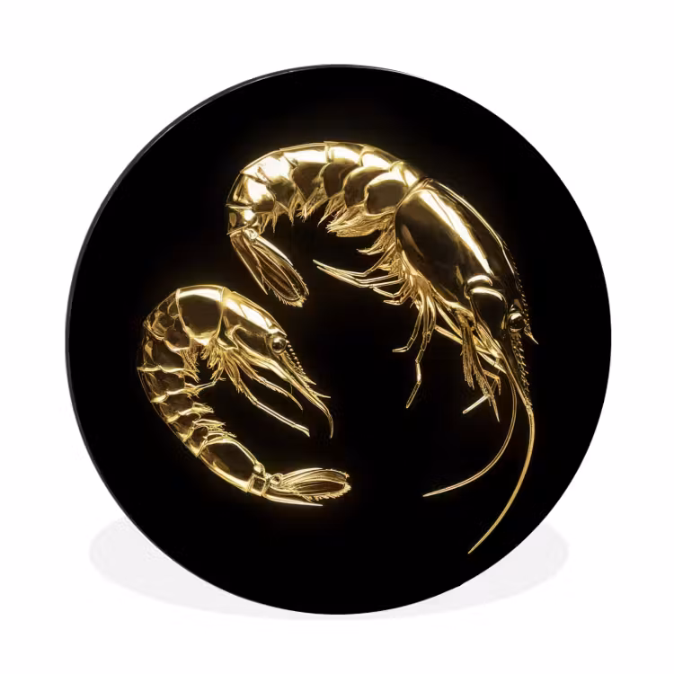 Garnalen - Zwart - Goud - Dieren Wandcirkel aluminium klein -3d