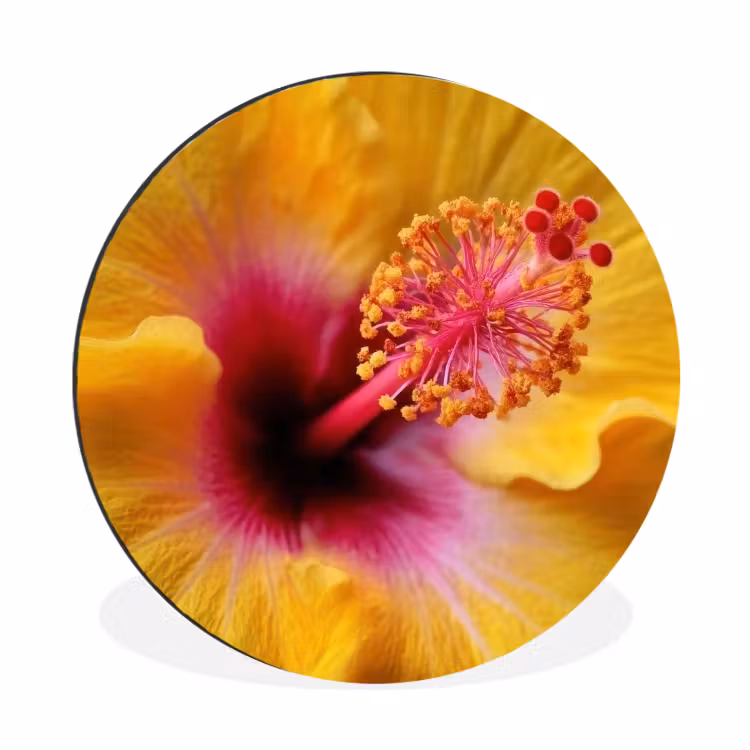 Geel - Hibiscus - Tropisch Wandcirkel aluminium klein -3d
