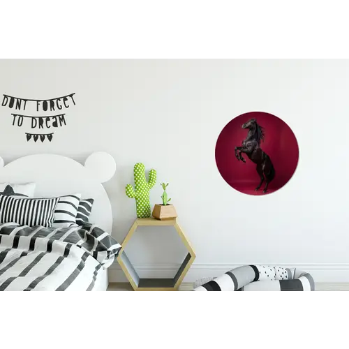 Hengst - Steigert - Rood Wandcirkel aluminium klein -kinderkamer